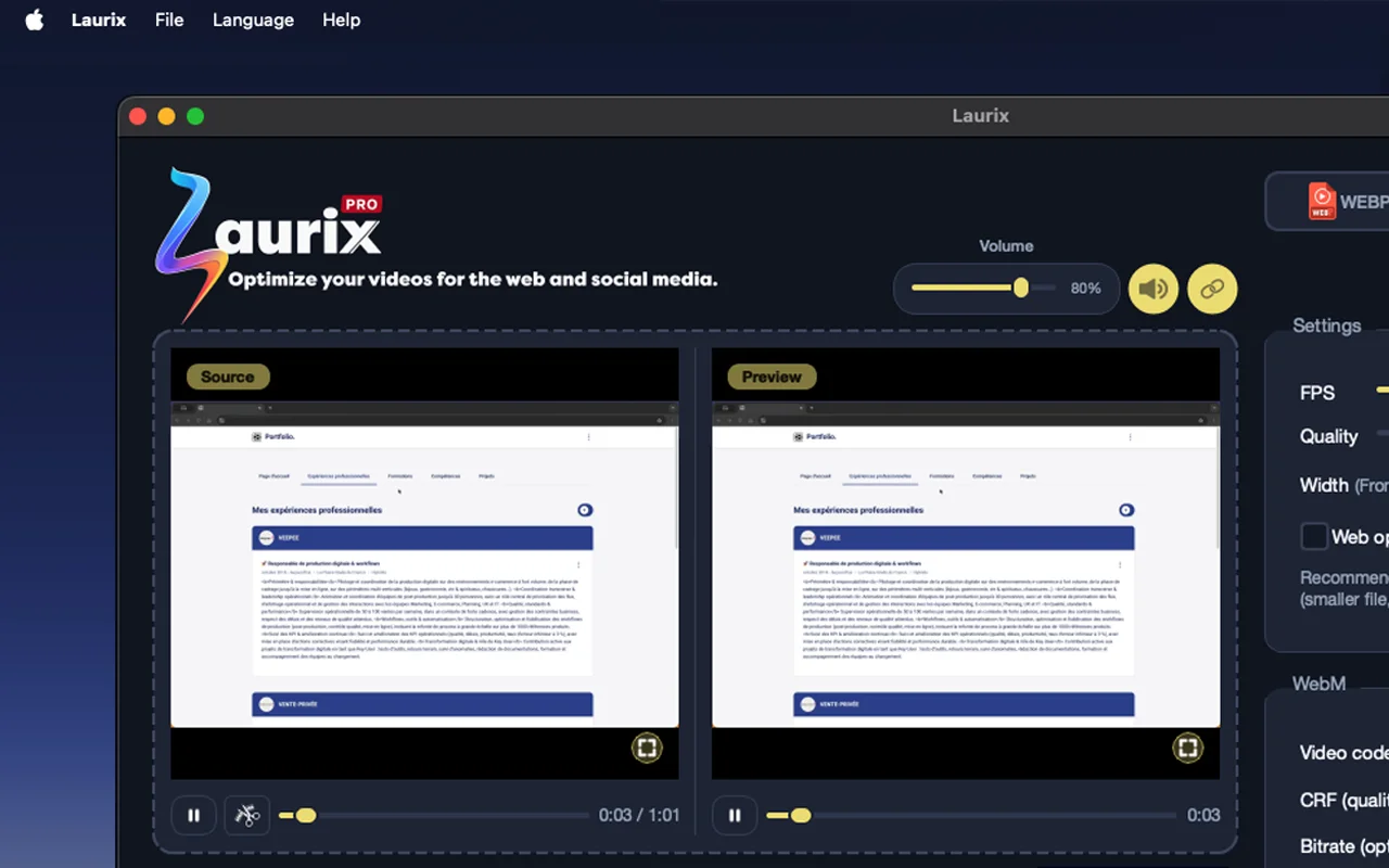 Laurix side-by-side source and preview comparison before video conversion